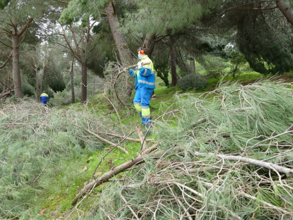 Móstoles reabre los parques de La Rioja, Francisco Javier Sauquillo y Prado Ovejero