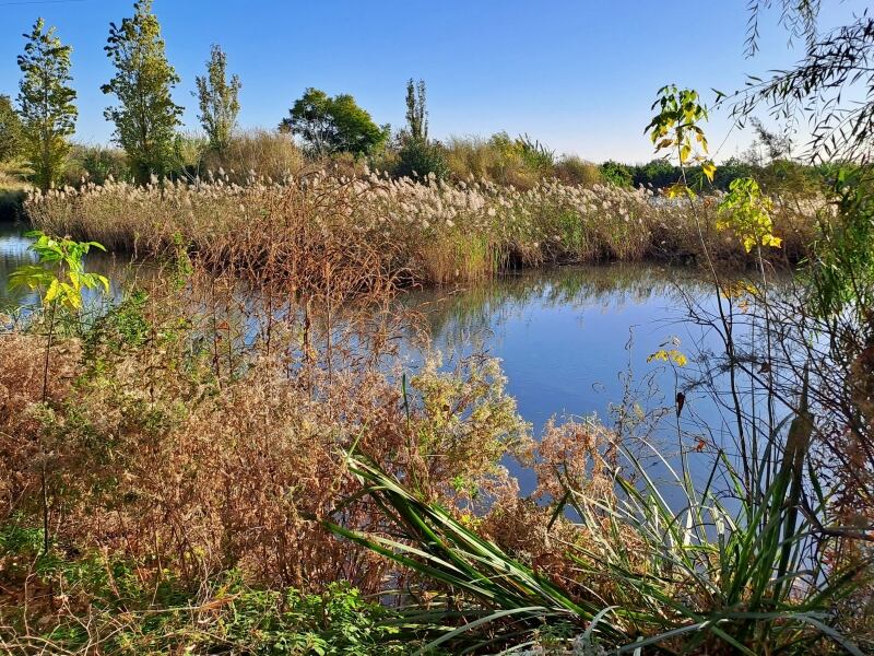 Ullals de Tavernes de la Valldigna