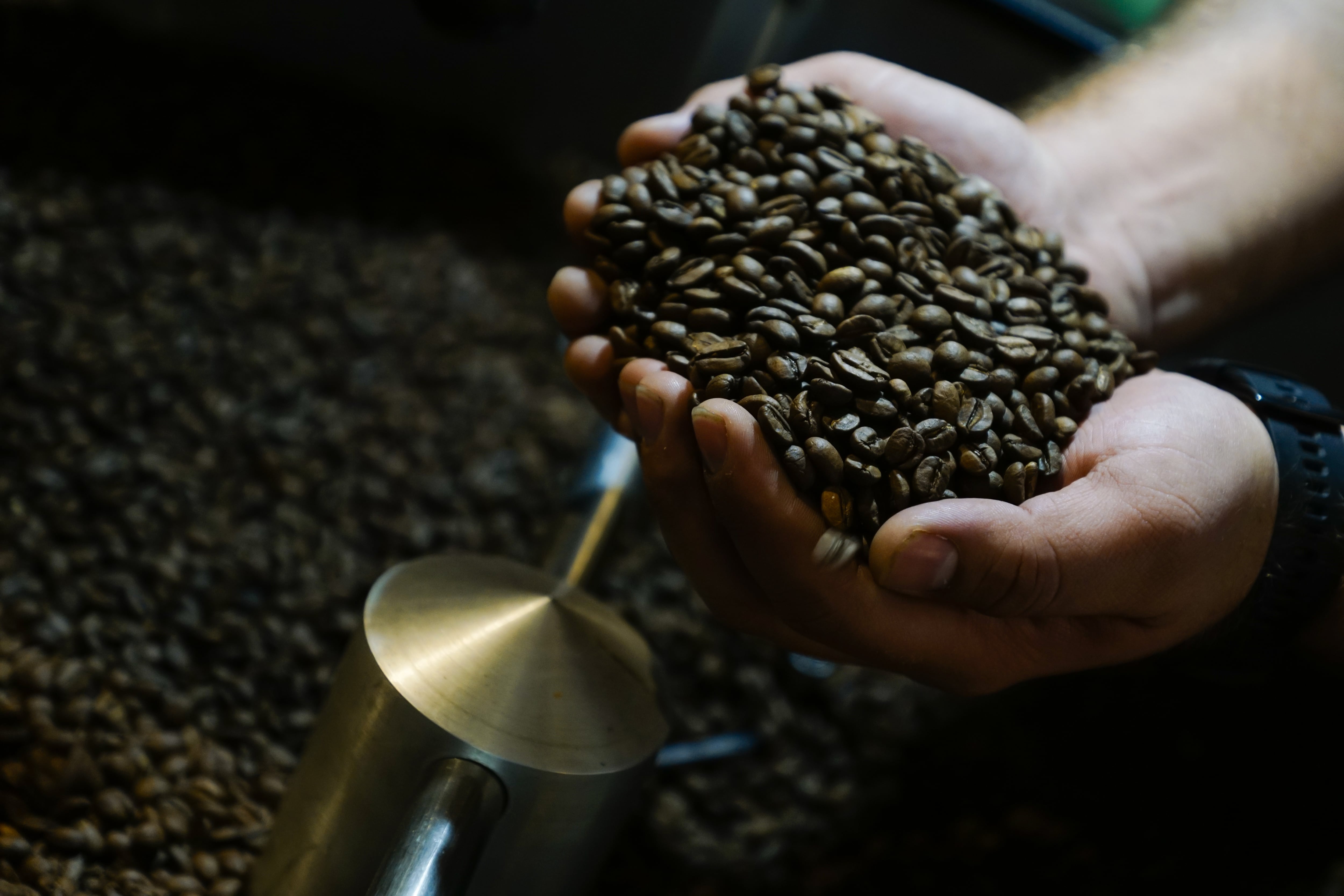 El café está catalogado como la segunda bebida más consumida en el mundo después del agua. Actualmente se consumen más de 3.000 millones de tazas de café al día en el mundo.