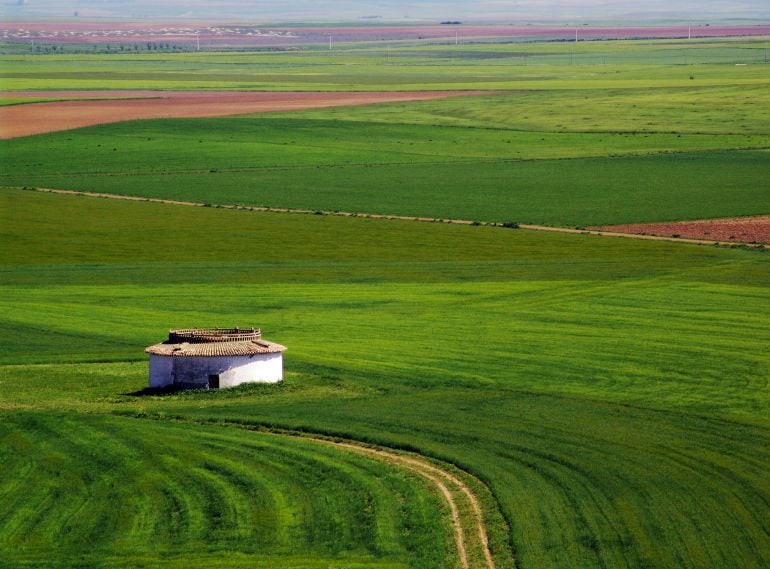 Imagen de Tierra de Campos en Palencia