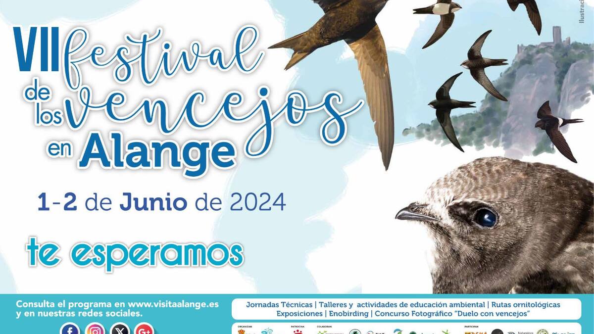 ENTREVISTA JULIA GONZALEZ FESTIVAL VENCEJOS ALANGE