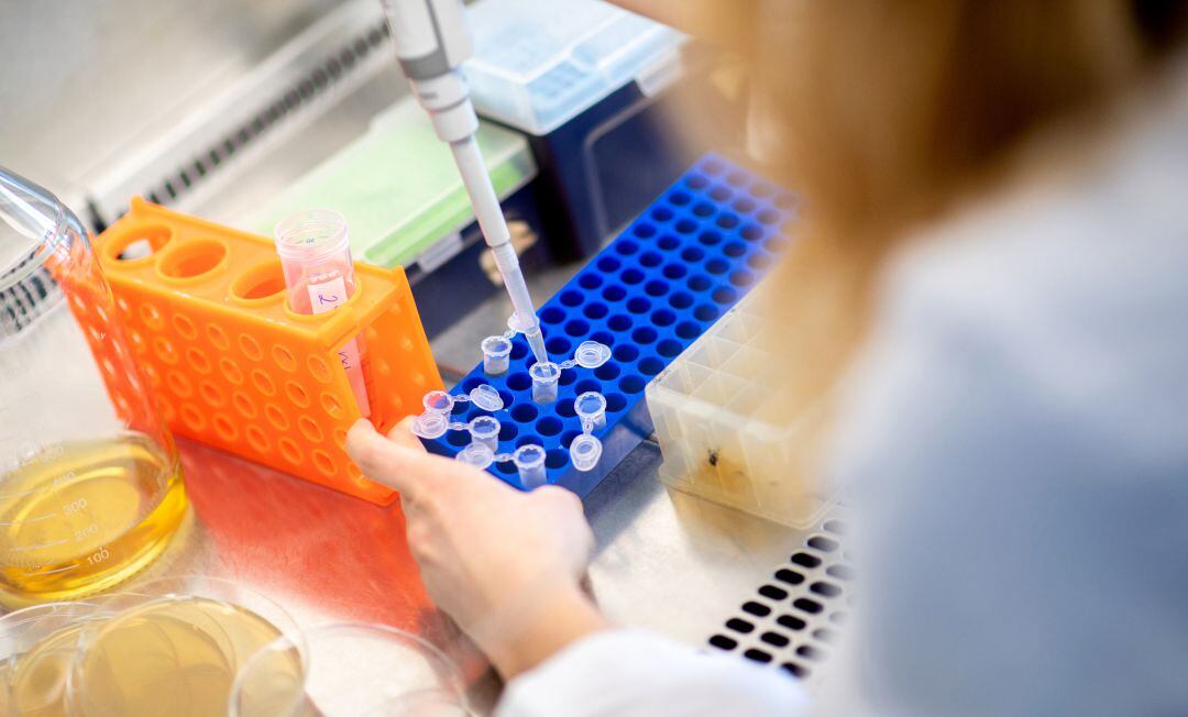 Muestras de anticuerpos contra la COVID-19.