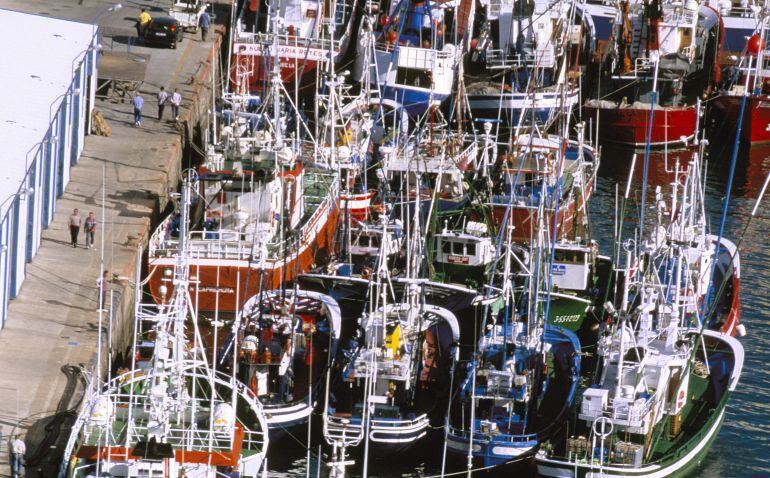 Pesqueros en el puerto de Burela.