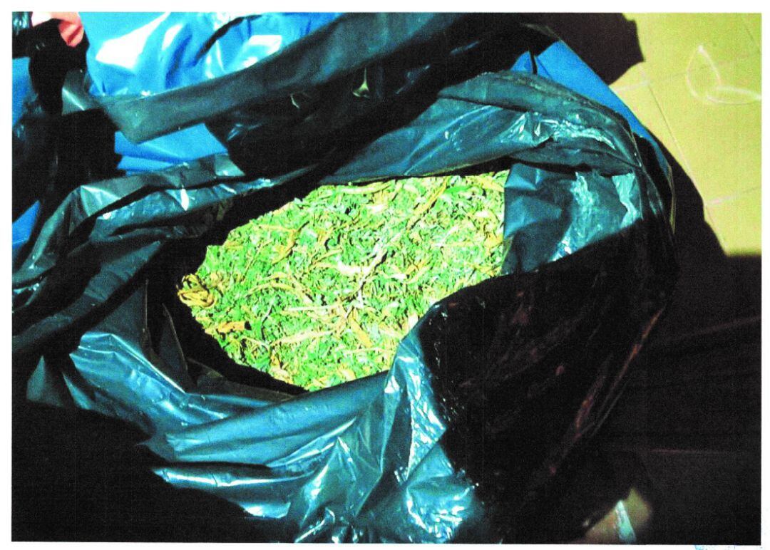La policía de Elda localizó un secadero de marihuana en el sótano de la vivienda 
