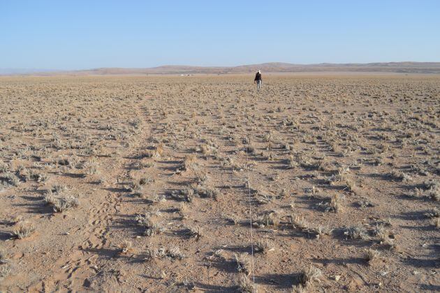 Desierto de Namibia