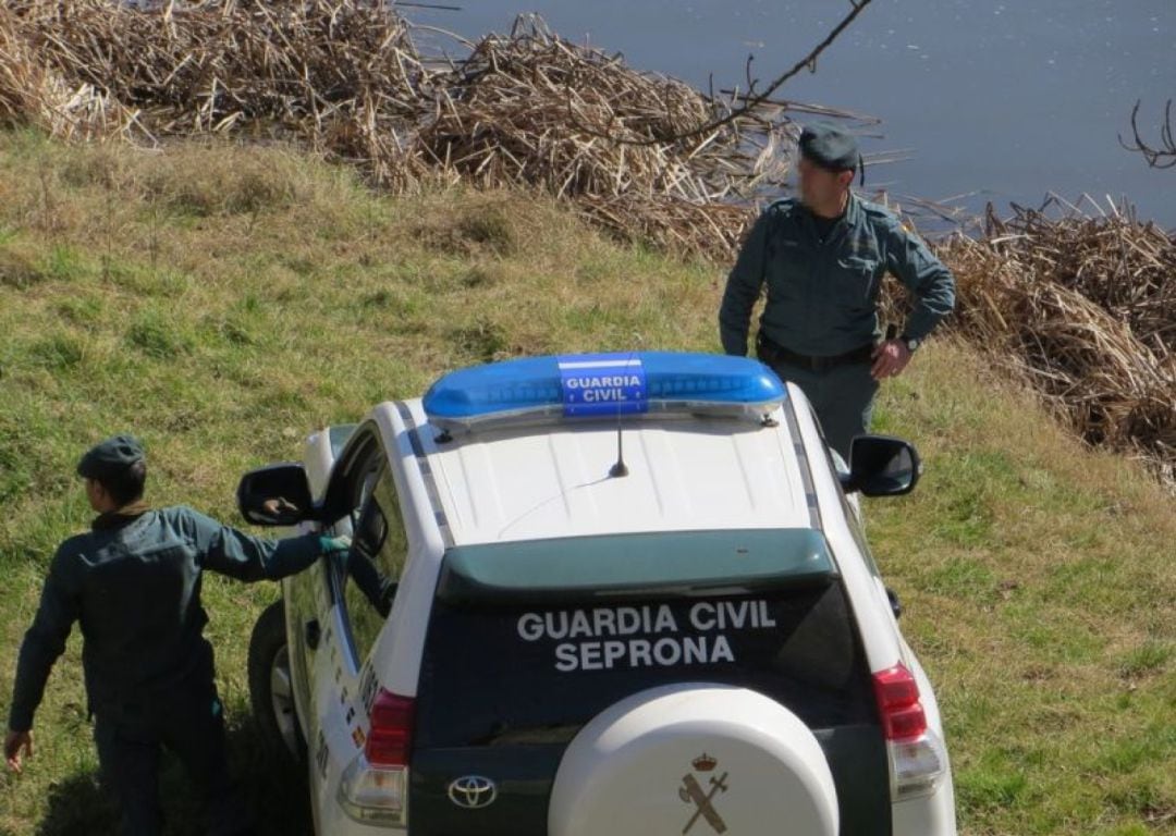 Agentes del Seprona intervienen en el arresto