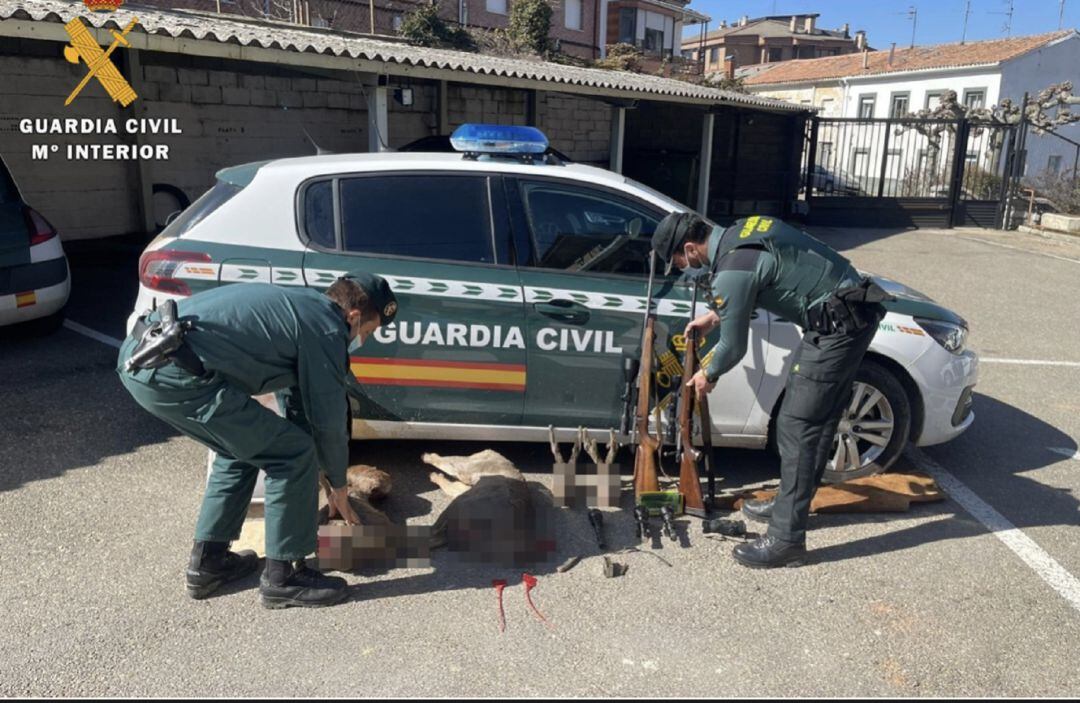 Actuación de la Guardia Civil de Palencia contra caza furtiva en el norte de la provincia