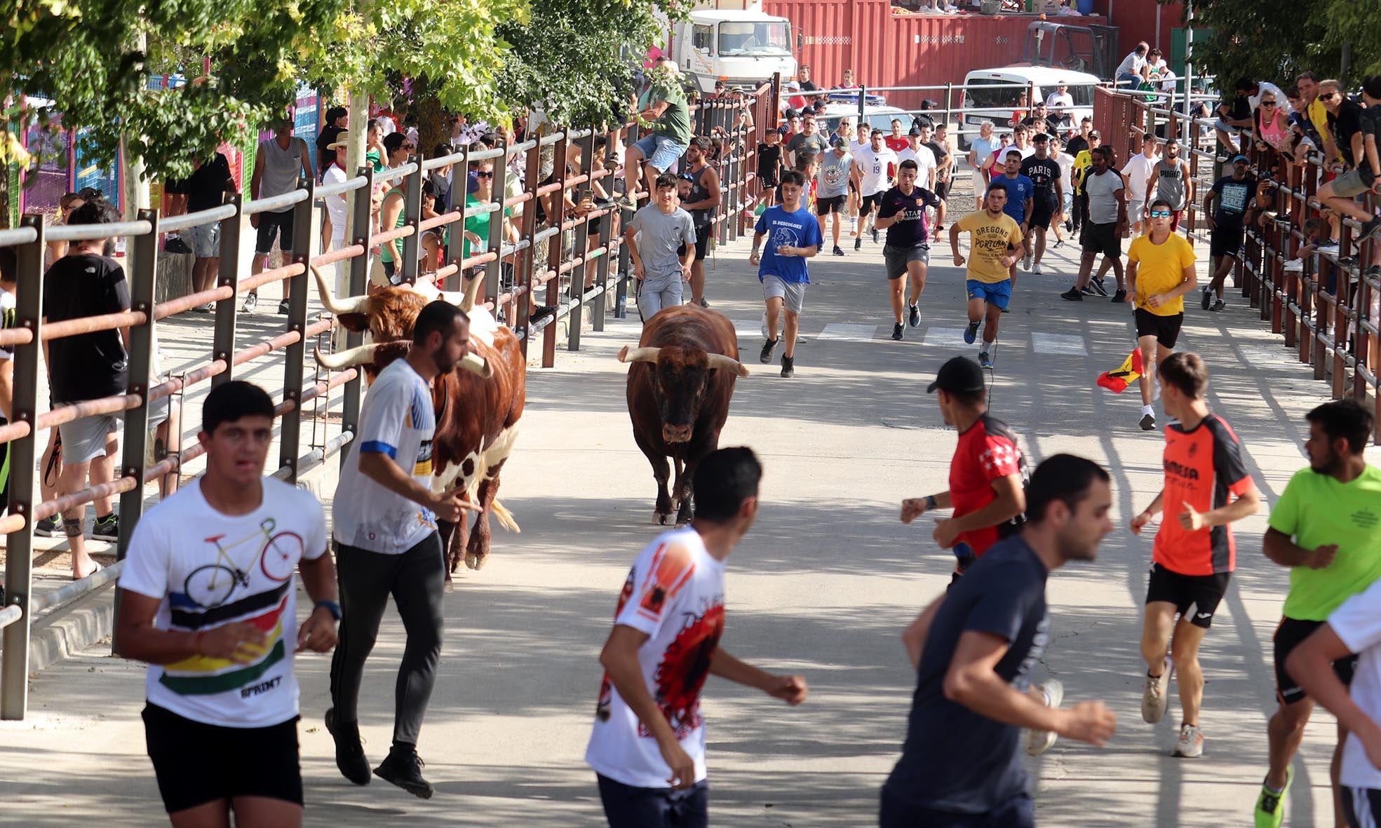Encierro por las calles de Cabanillas del Campo/foto archivo