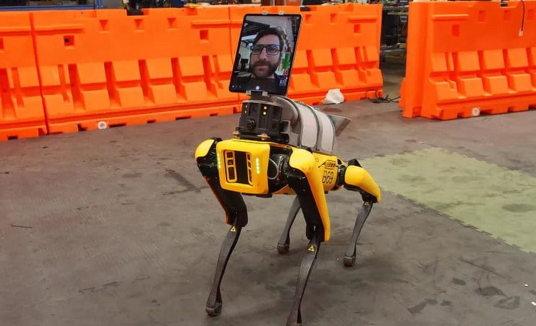 Los perros de Boston Dynamics llegan a los hospitales.