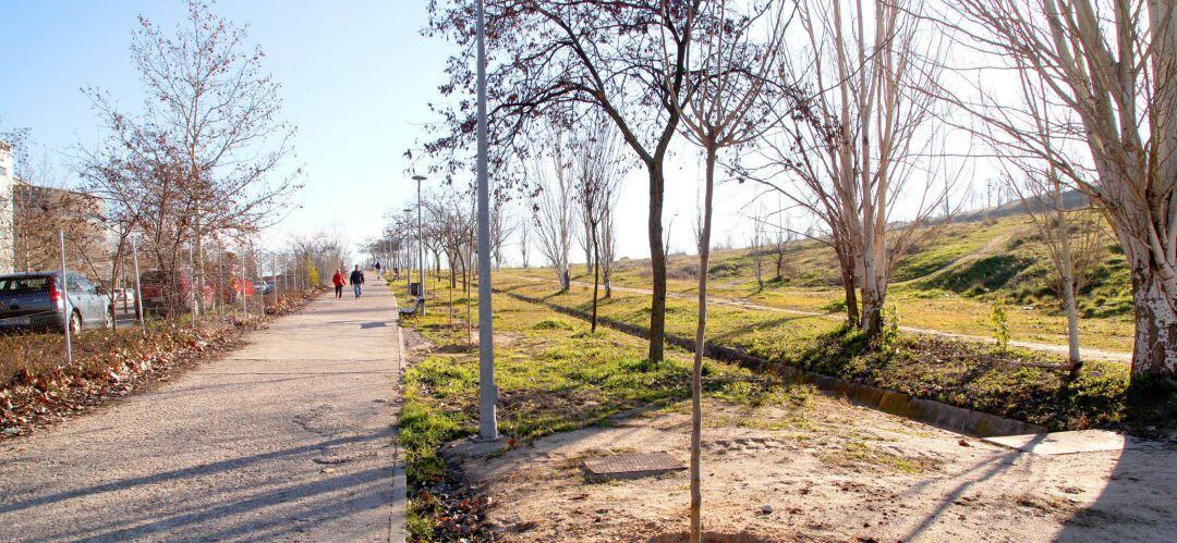 Árboles plantados en Alcobendas