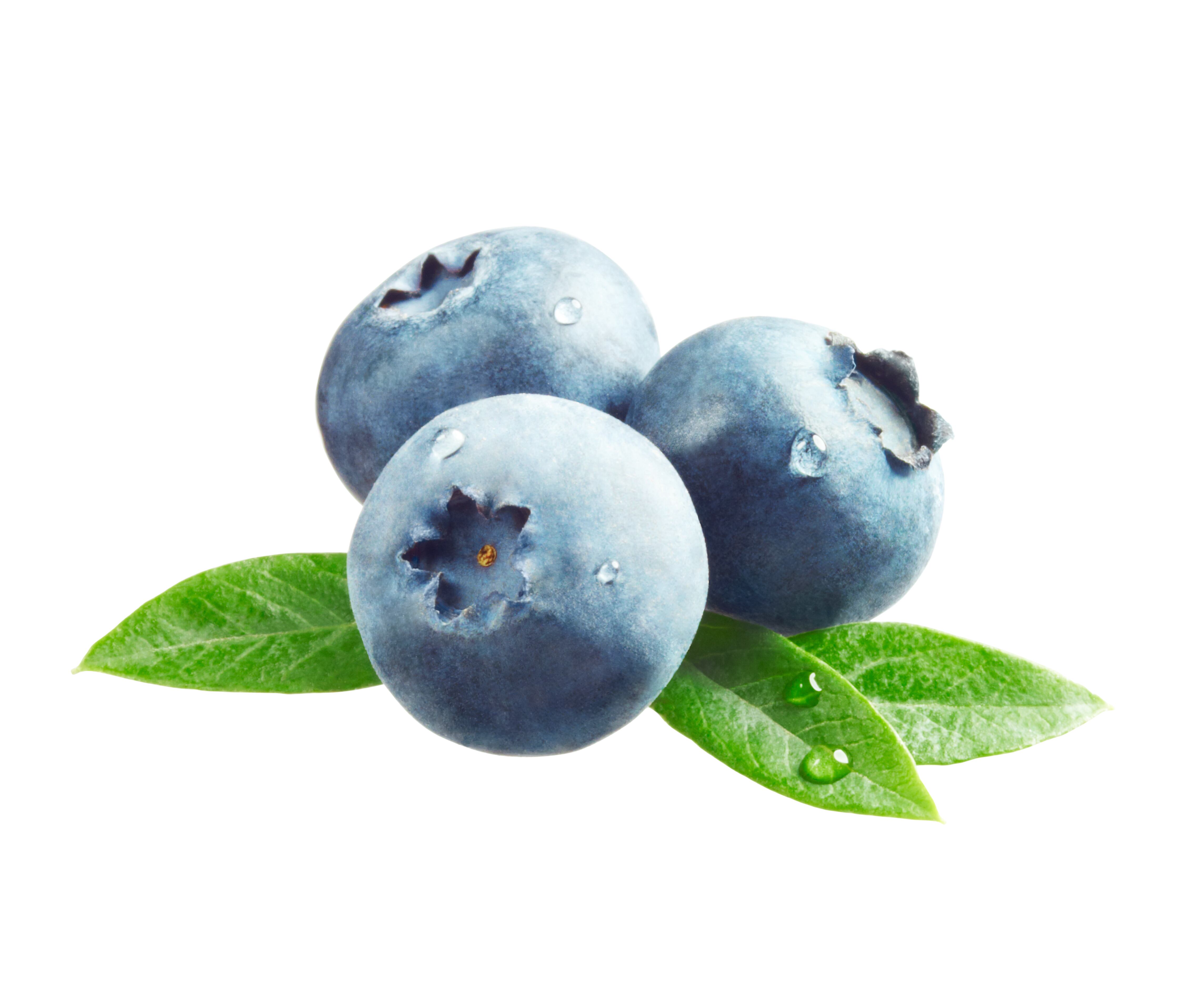 Extreme Closeup of Blueberries with Leaves cut out on white