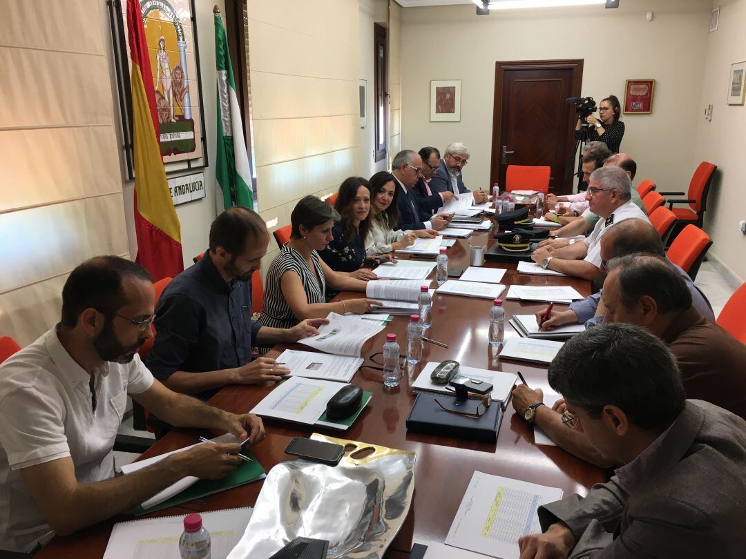 Hoy se ha celebrado reunión del comité asesor del plan que se activa el 1 de junio y en el que van a participar, 817 profesionales.