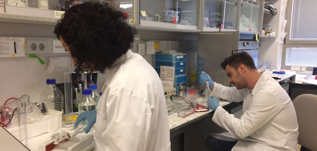 Imagen de archivo de jóvenes investigadores en Albacete