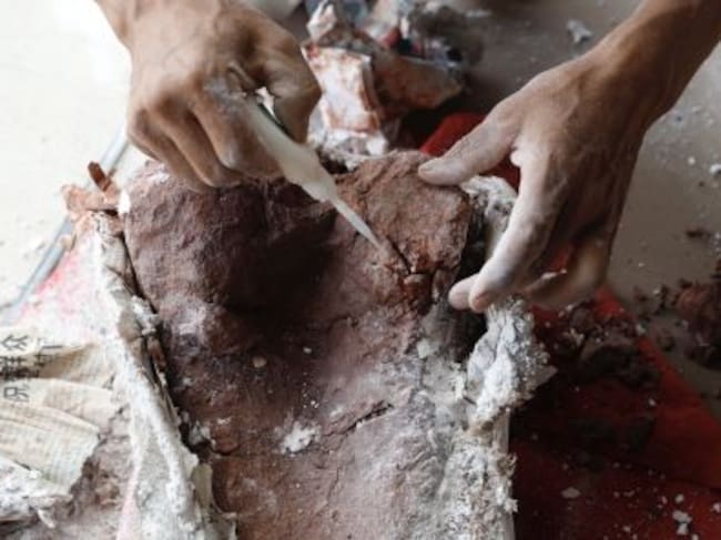 En China están tratando de dar nombre a una nueva serie de fósiles que han aparecido allí