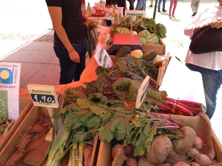 Mercado ecologico de Zamora