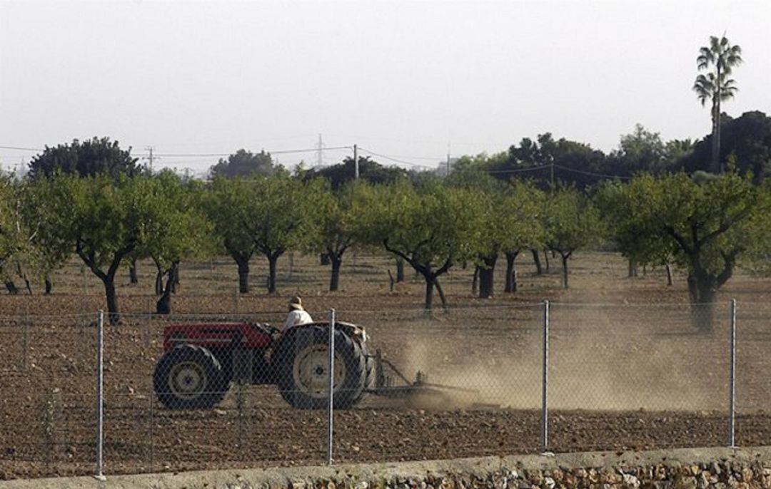 Un hombre trabaja con un tractor en una finca agraria