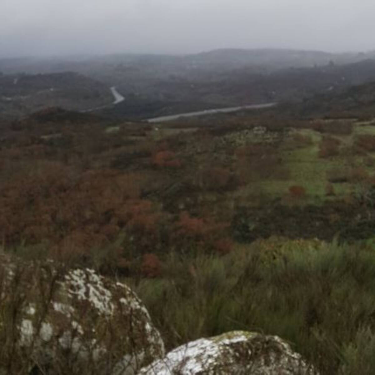 El PSOE recuerda que "el mundo rural es el gran olvidado del PP"