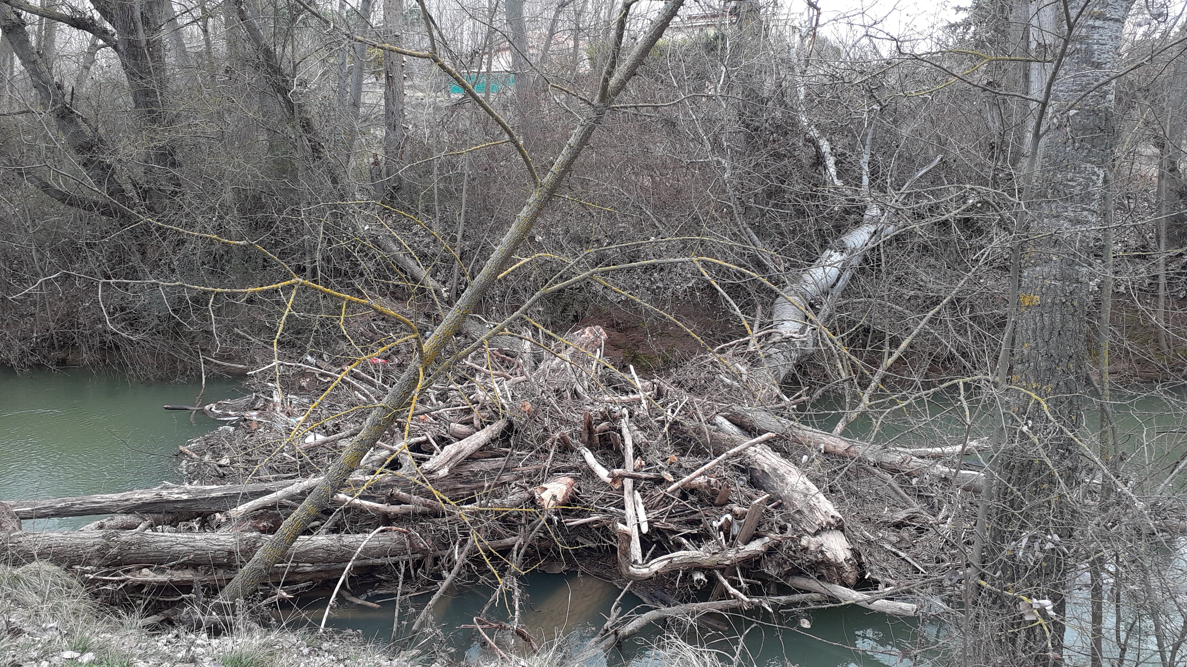 Imagen de archivo de un tapón que se formó en el río Arandilla en su tramo urbano hace un año