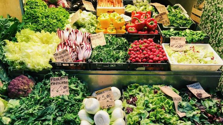 Dolores Corella, Premio Jaume I