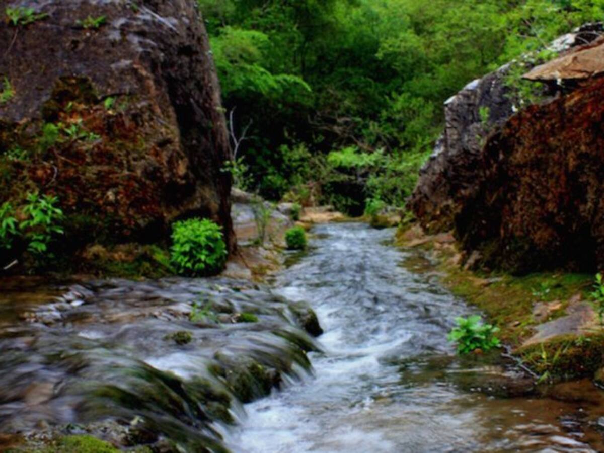 La Hoz de Beteta, la mejor agua del mundo y las plantas carnívoras