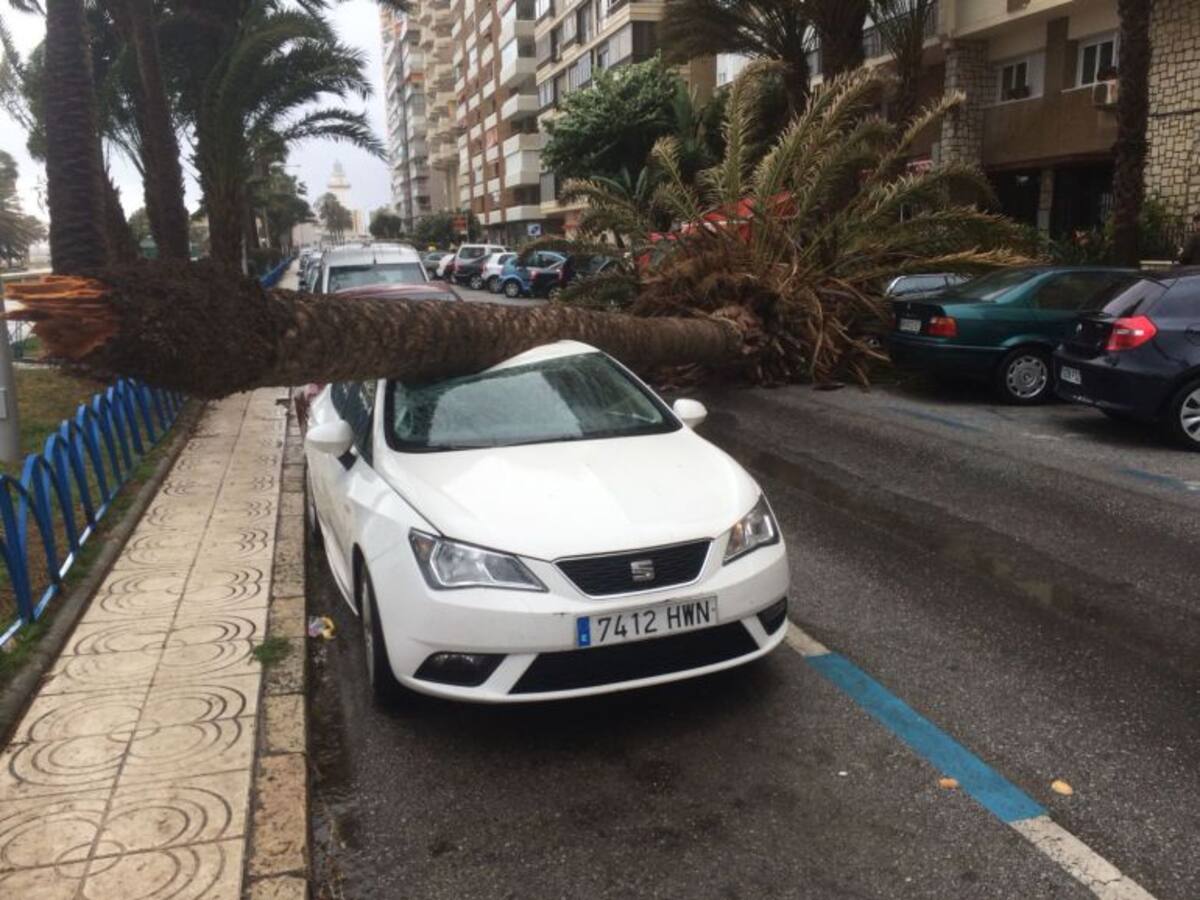 El temporal de fuertes vientos y lluvia deja más de 250 incidencias en Málaga