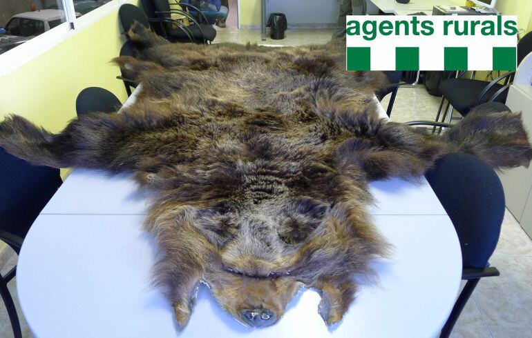 Comís d&#039;una pell d&#039;ós bru, procedent de Rússia, que es venia il.legalment per Internet