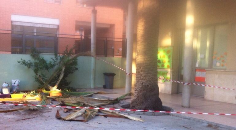 Restos de la palmera y el patio acotado