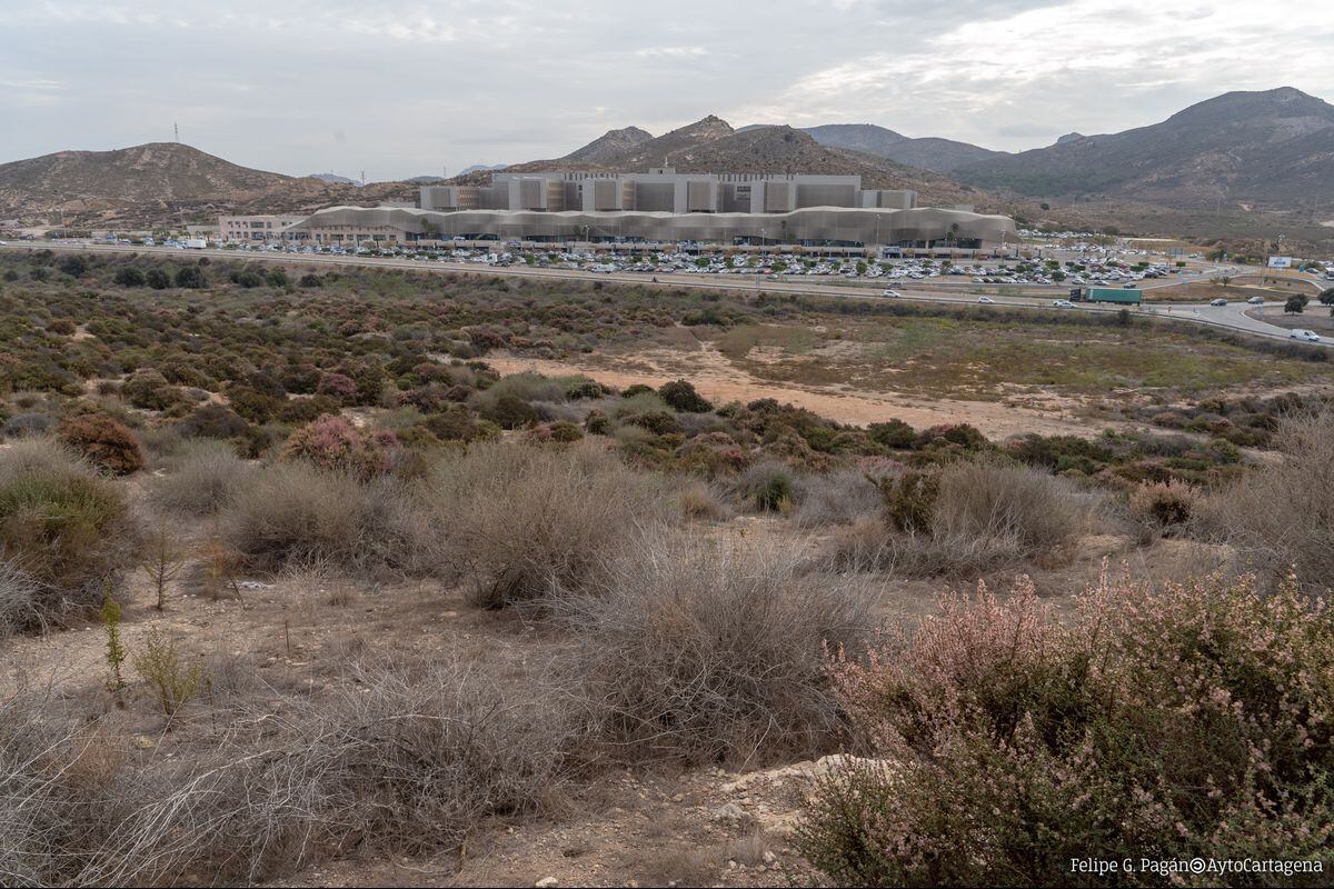 Parcela municipal para la construcción de la Ciudad de la Justicia