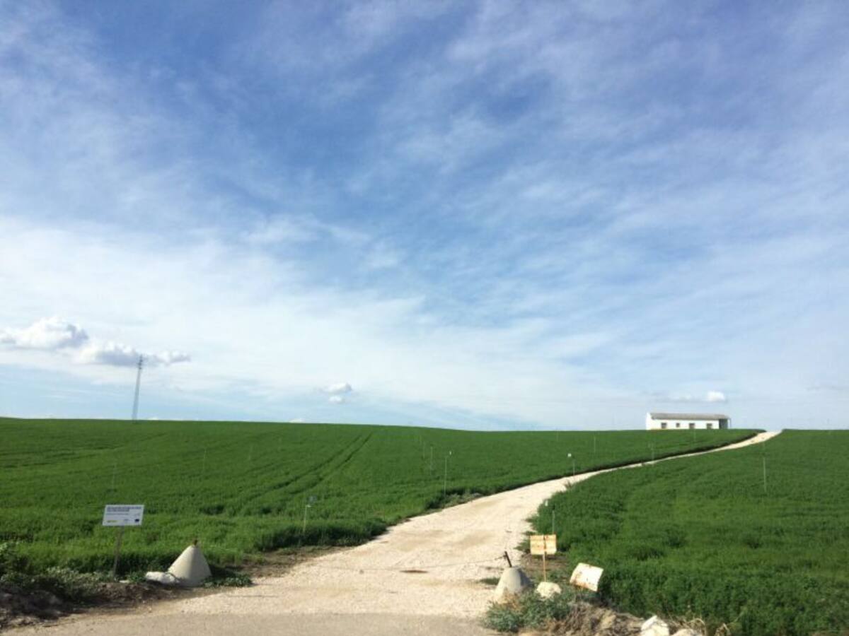 Agua buena para el campo
