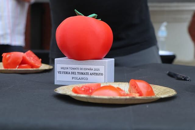 El mejor tomate de España.