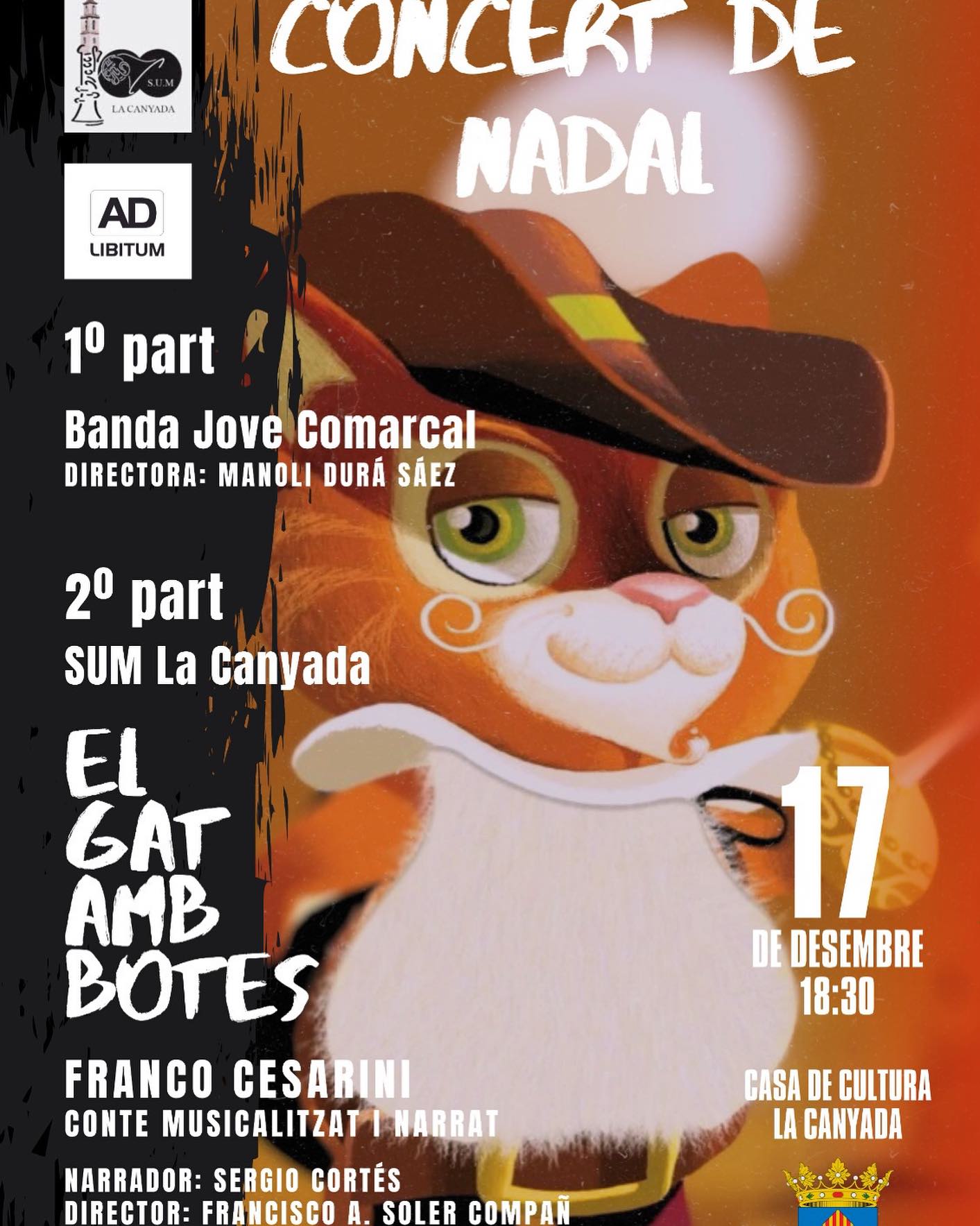 Cartel del concierto