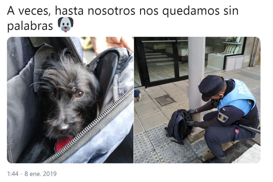 Twitter de la Policía Local de Las Palmas de Gran Canaria.