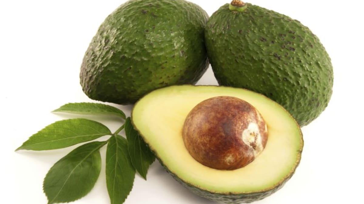 Hoy por Hoy SER de Huesca confronta aceite de oliva y aguacate