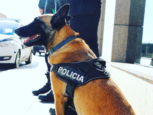 El Área de Protección Ciudadana moviliza a 275 agentes, 55 bomberos y 20 voluntarios de Protección Civil en el dispositivo de una Noche de San Juan