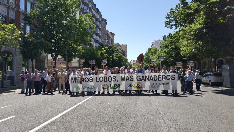 Las organizaciones agrarias de la provincia exigen a la Junta un mayor control de la población de lobos