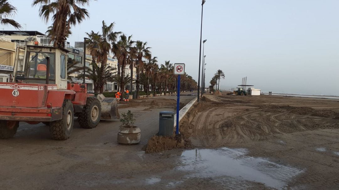 Retiran 50 toneladas de peces muertos de las playas valencianas tras el temporal