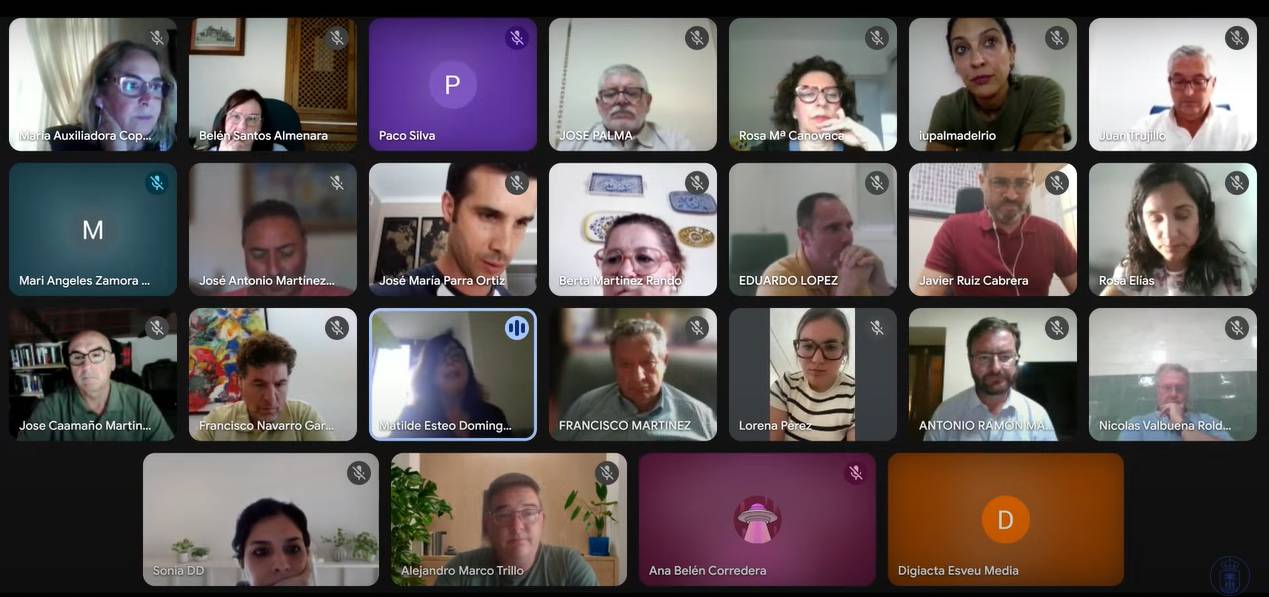 Imagen del pleno telemático celebrado este 12 de junio