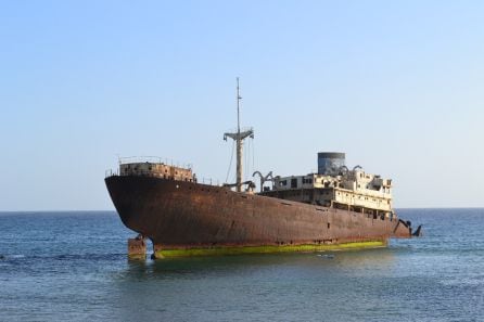 En octubre de 1981 el Telamón encalló en el Arrecife a causa de una vía de agua que se produjo durante su viaje desde San Pedro (Costa de Marfil) a Thessalonika (Grecia). Desde entonces allí sigue.