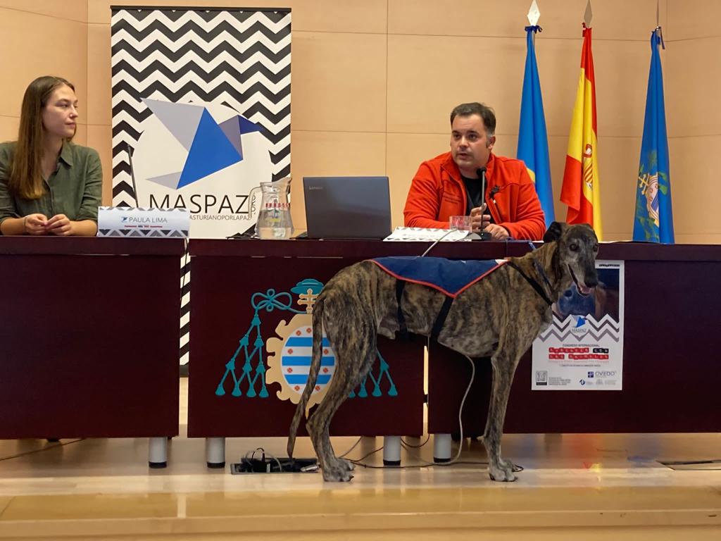 Terapia con galgos en Hermanas Hospitalarias