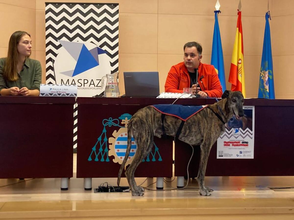 Hermanas Hospitalarias, a la cabeza en la terapia asistida con animales en casos complejos de salud mental
