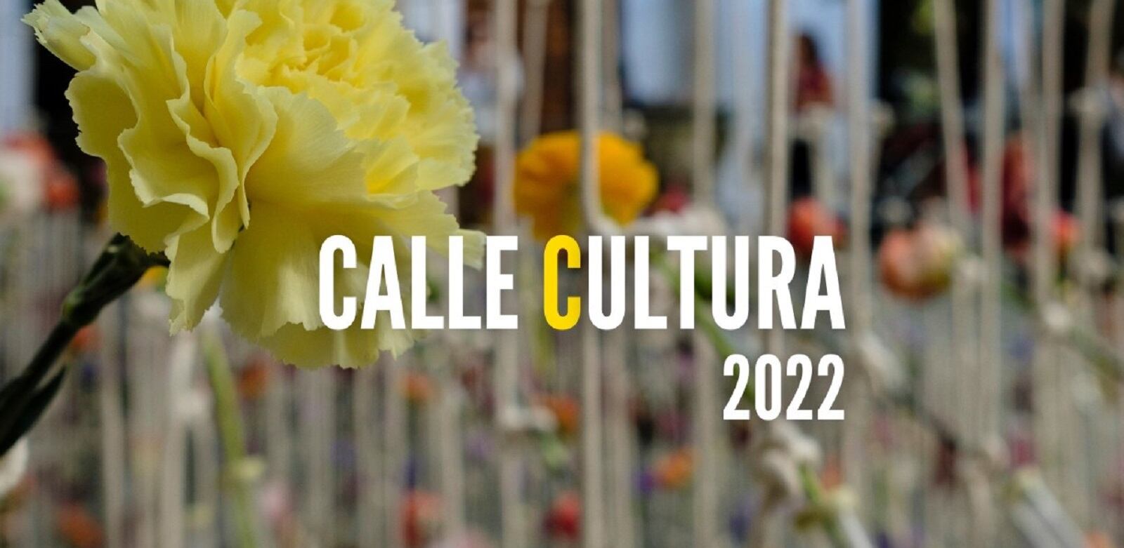 Cartel oficial de &quot;Calle Cultura&quot; en Sevilla