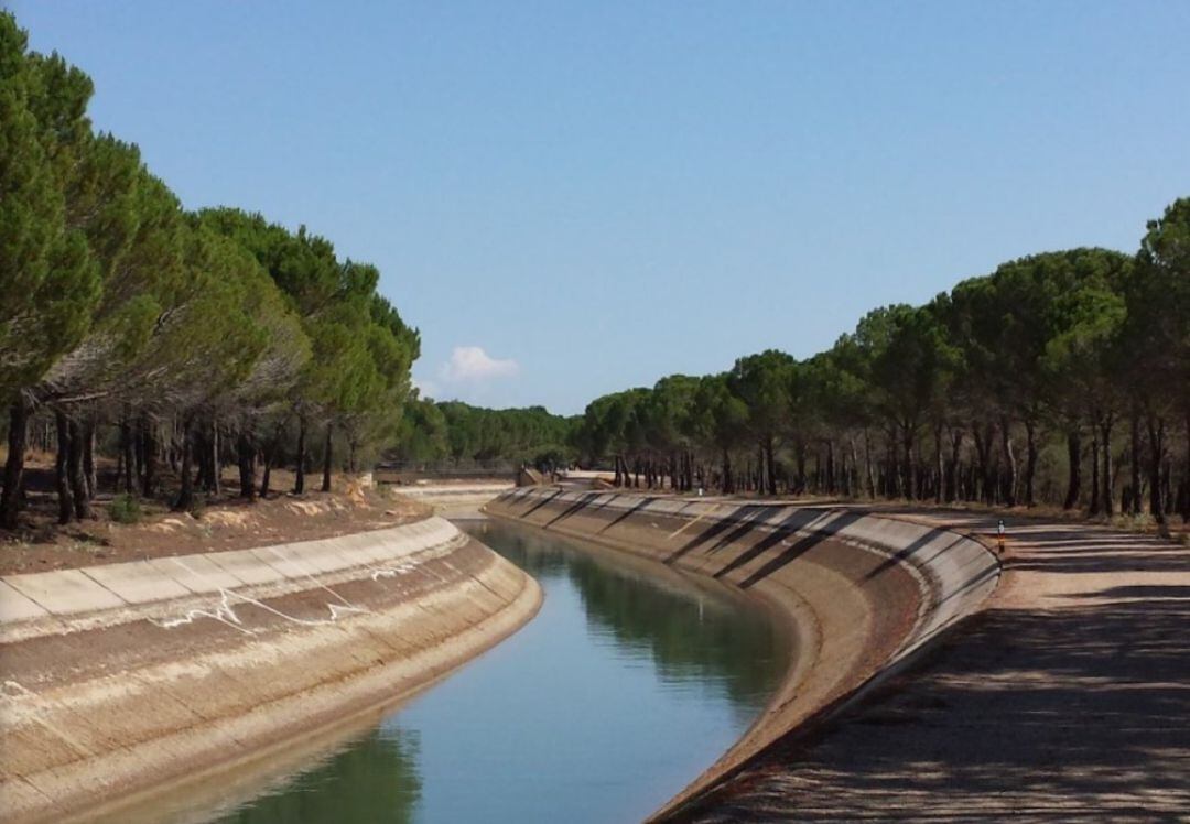 Canal del trasvase Tajo-Segura