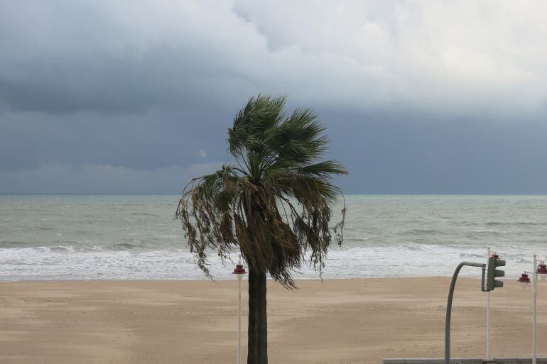 Imagen del temporal en un Paseo