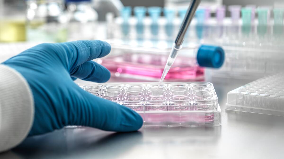 "Si se segueixen les normes dins del laboratori, les probabilitats que hi hagi accidents són minimes"