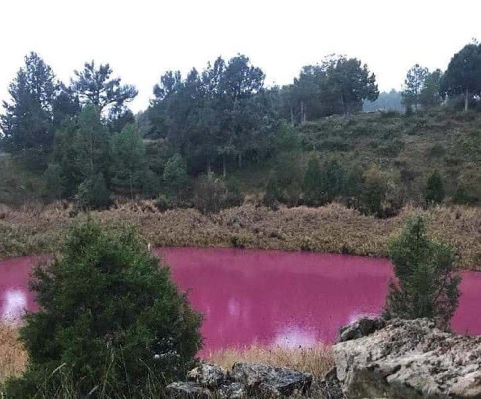 Una de las lagunas de Cañada del Hoyo