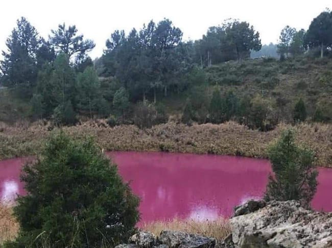Una de las lagunas de Cañada del Hoyo