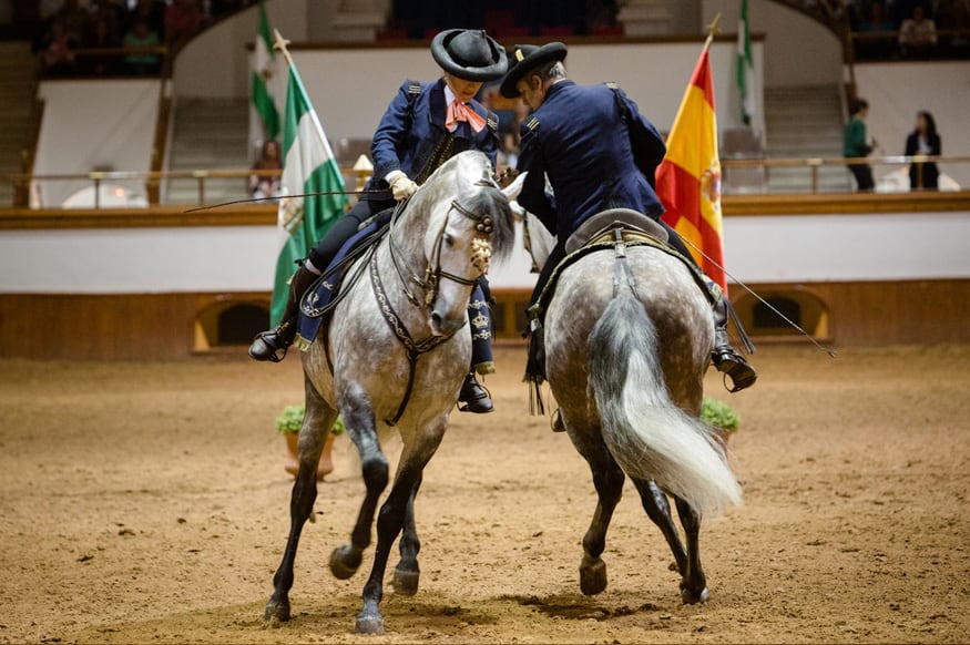 Espectáculo de la Real Escuela Andaluza del Arte Ecuestre