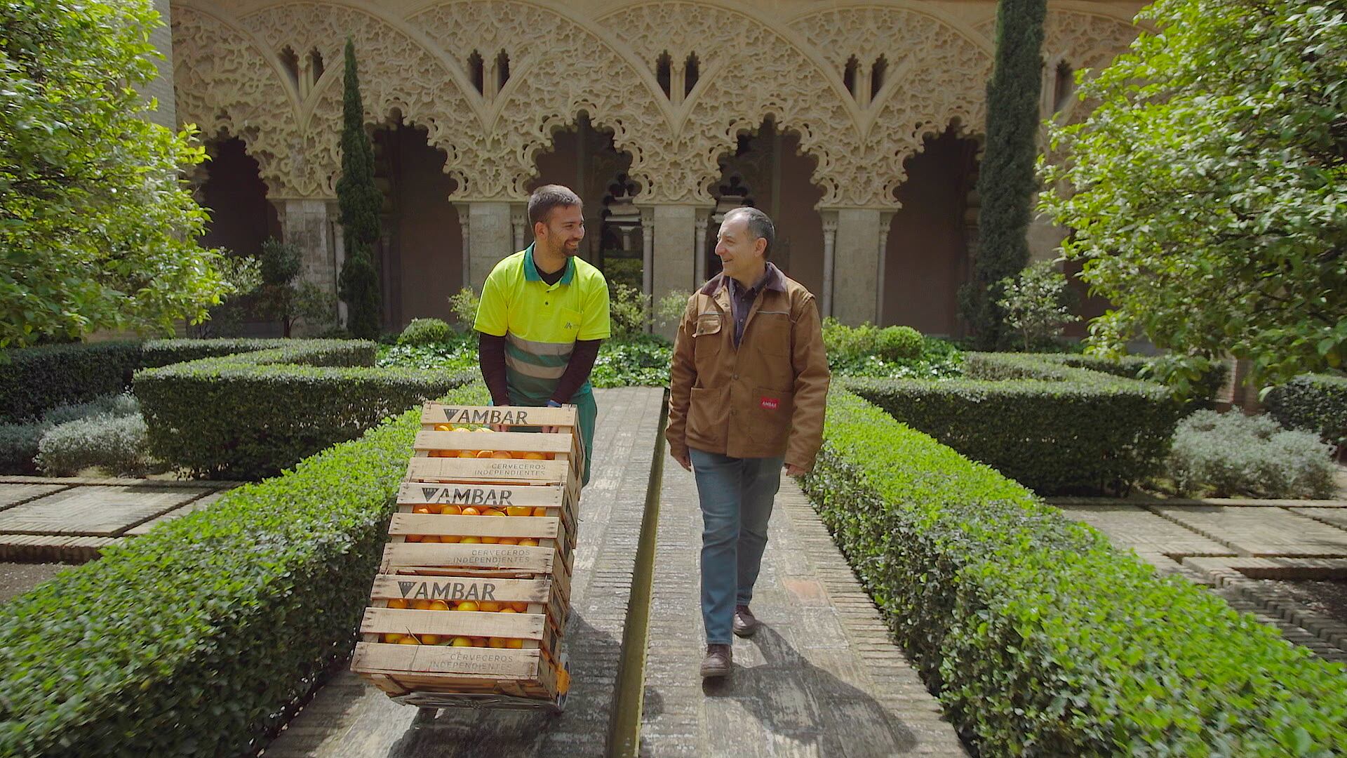 Recogida de las naranjas en el patio del Palacio de La Aljafería para elaborar la nueva Ambar Ambiciosa Azahar