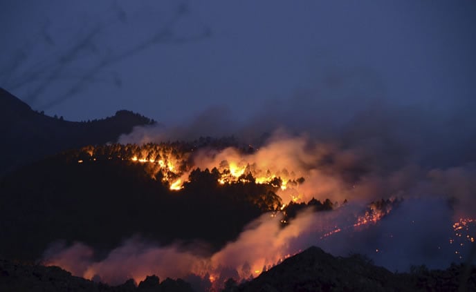 Fuego quemando un denso pinar en la zona de Montaña de Enrique en La Palma