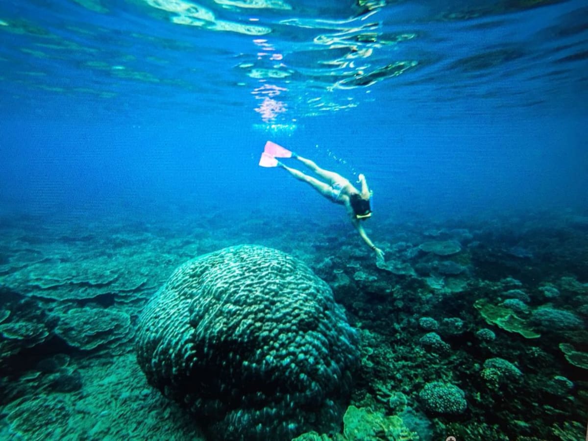 SER Aventureros: El currículo del viajero: de periodista a empaquetadora de corales (15/09/2018)